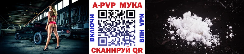 Альфа ПВП СК КРИС  Тулун 