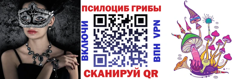 Псилоцибиновые грибы ЛСД  kraken как войти  Тулун 