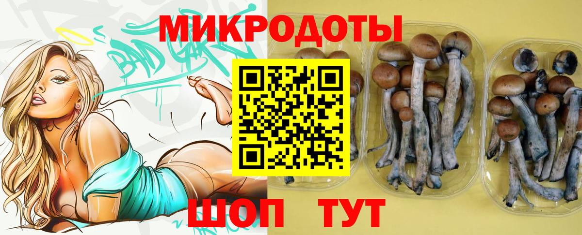 Галлюциногенные грибы мухоморы Тулун