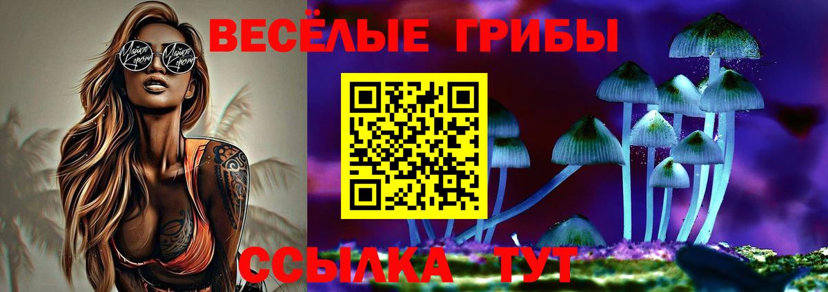 купить наркоту  Вход с VPN  Тулун  Галлюциногенные грибы GOLDEN TEACHER 